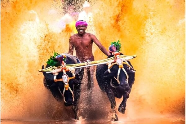 Action against Kambala in Bengaluru