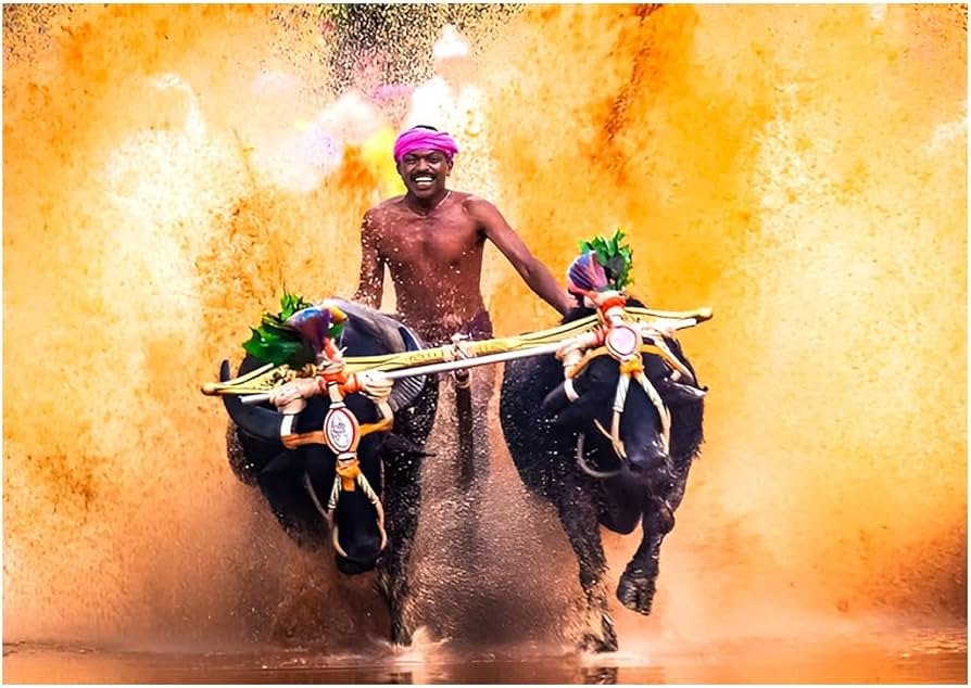 Action against Kambala in Bengaluru